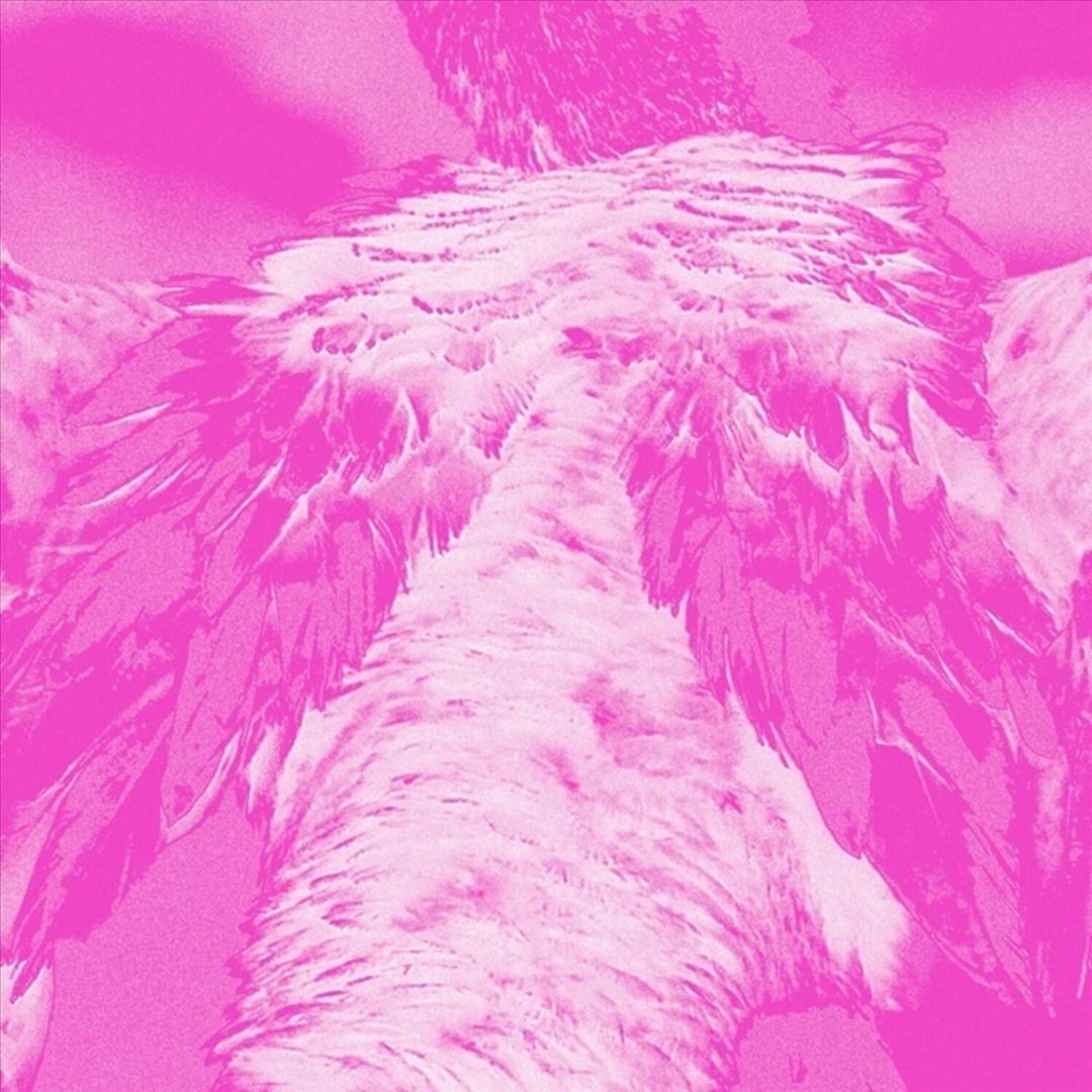 Field Guide to Phantasmic Birds cover art