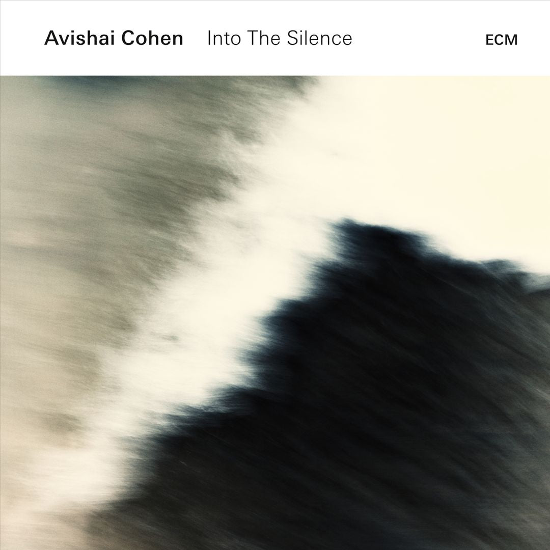 Into the Silence cover art