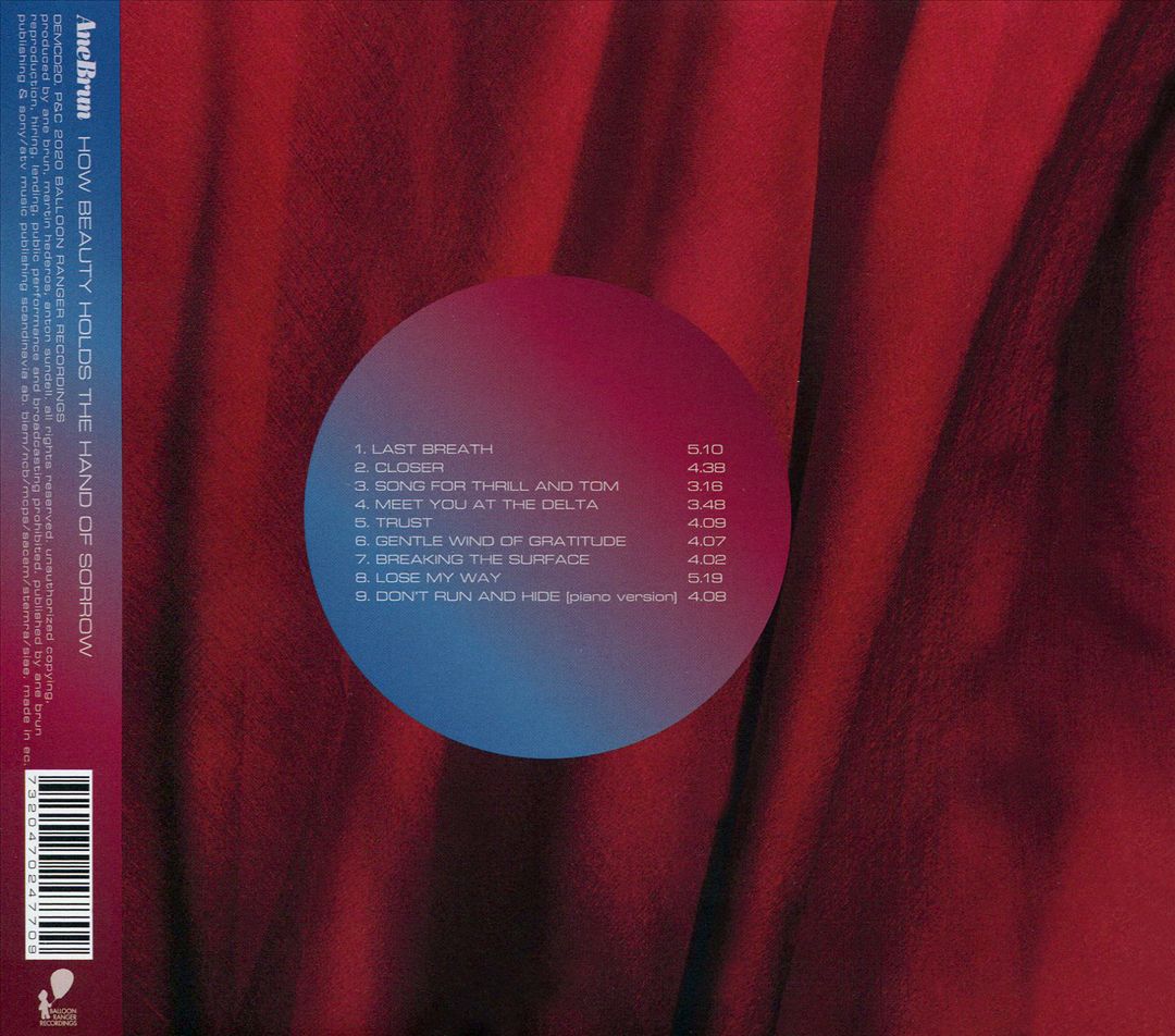 How Beauty Holds the Hand of Sorrow cover art