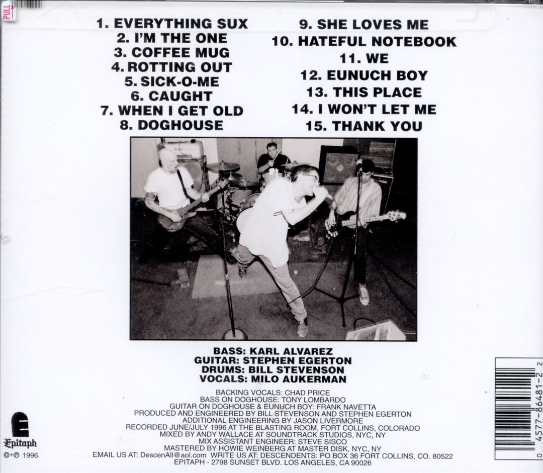 Everything Sucks cover art