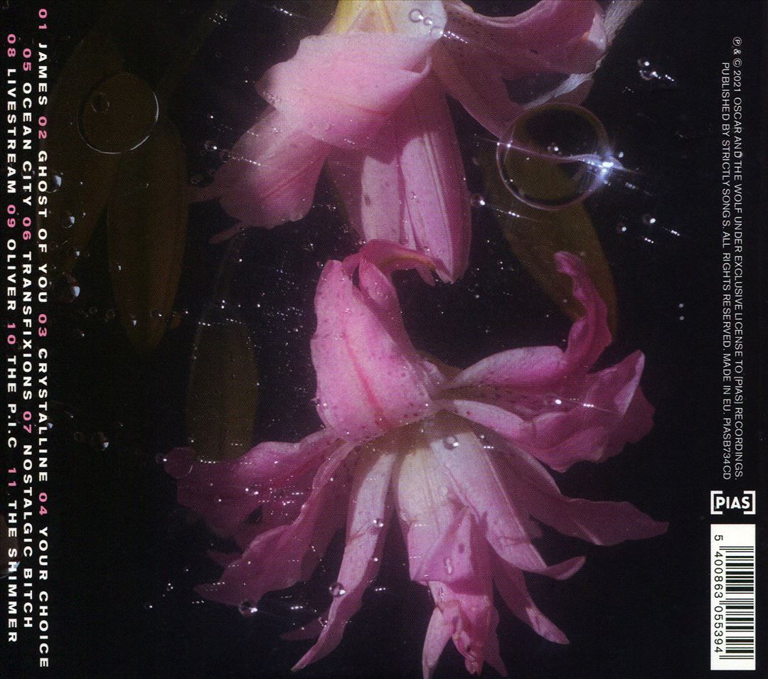Shimmer cover art