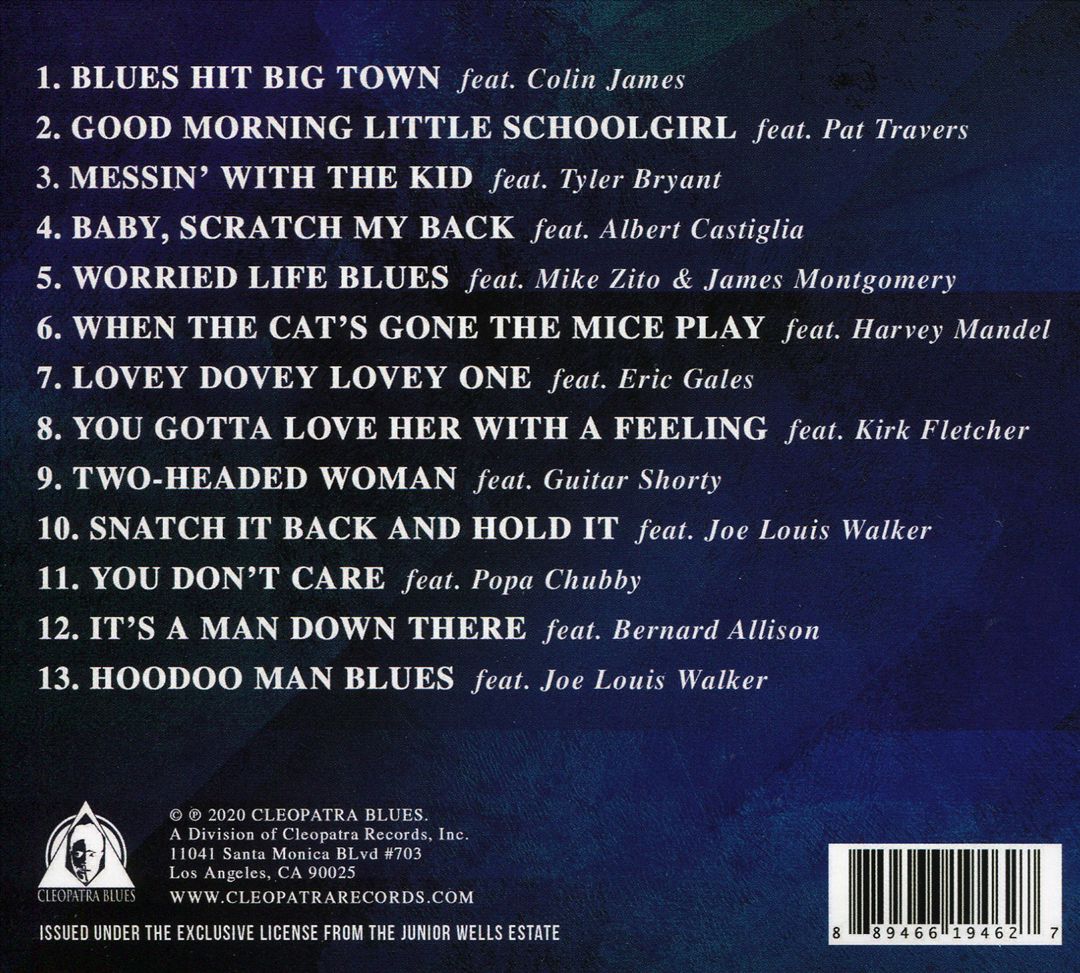 Blues Brothers cover art
