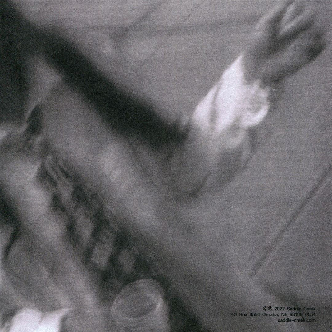 i dont know who needs to hear this... cover art