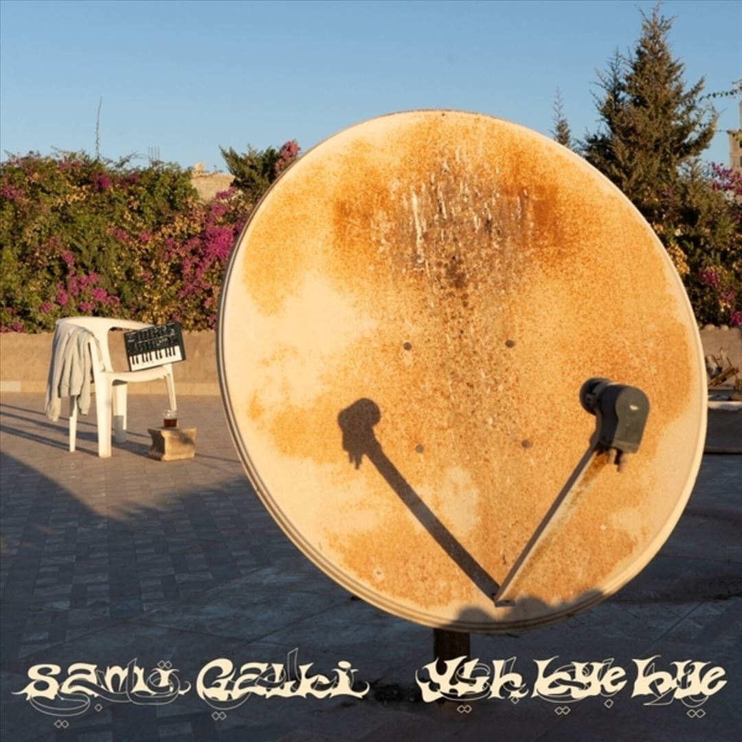 Ylh Bye Bye cover art