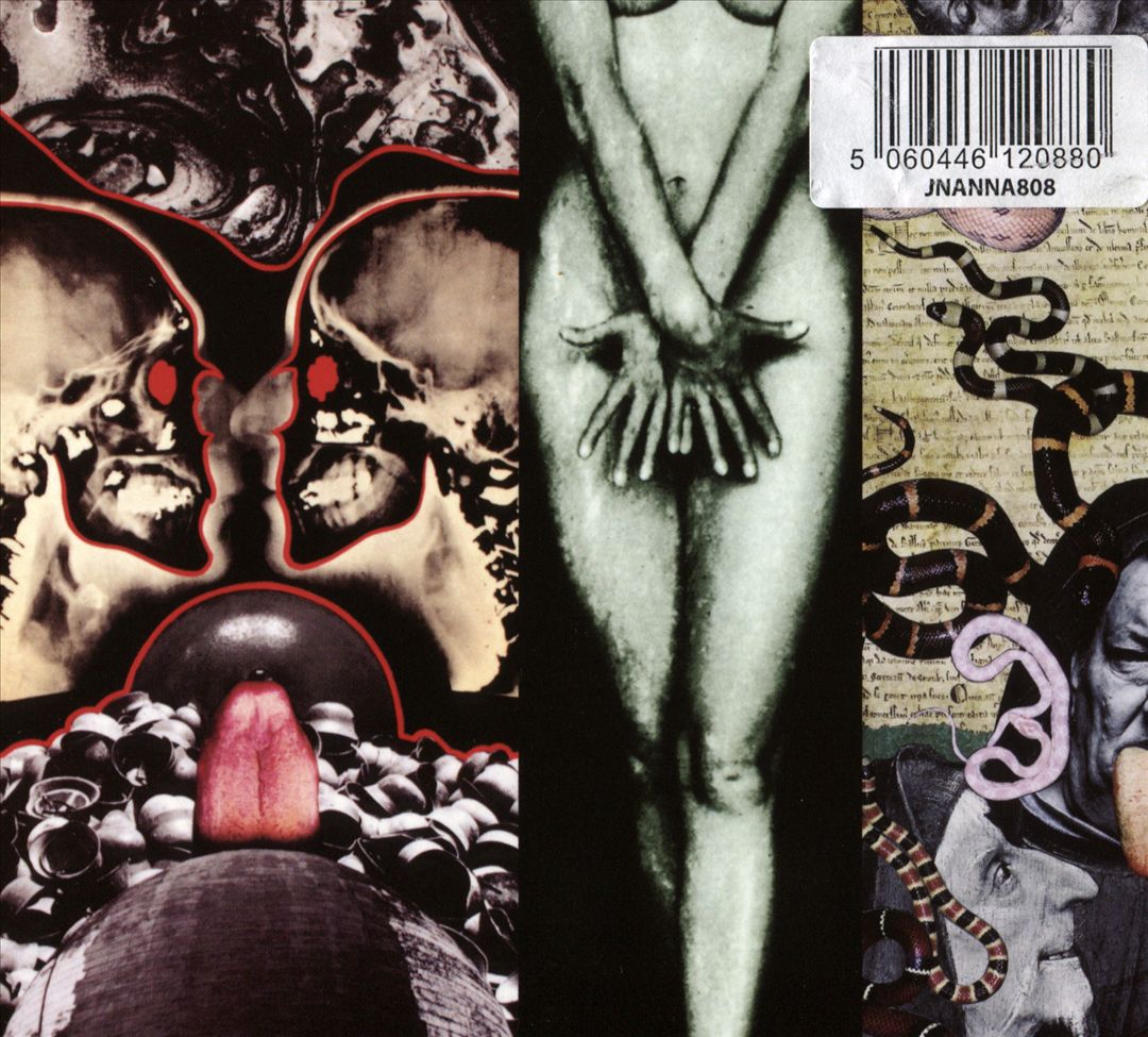 Dark Fat cover art