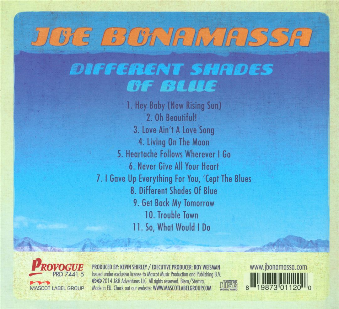 Different Shades of Blue cover art