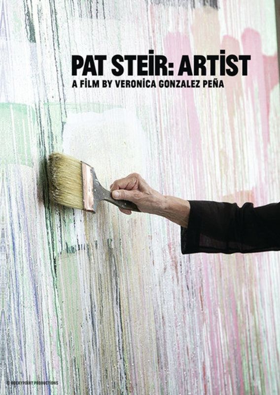 Pat Steir: Artist cover art