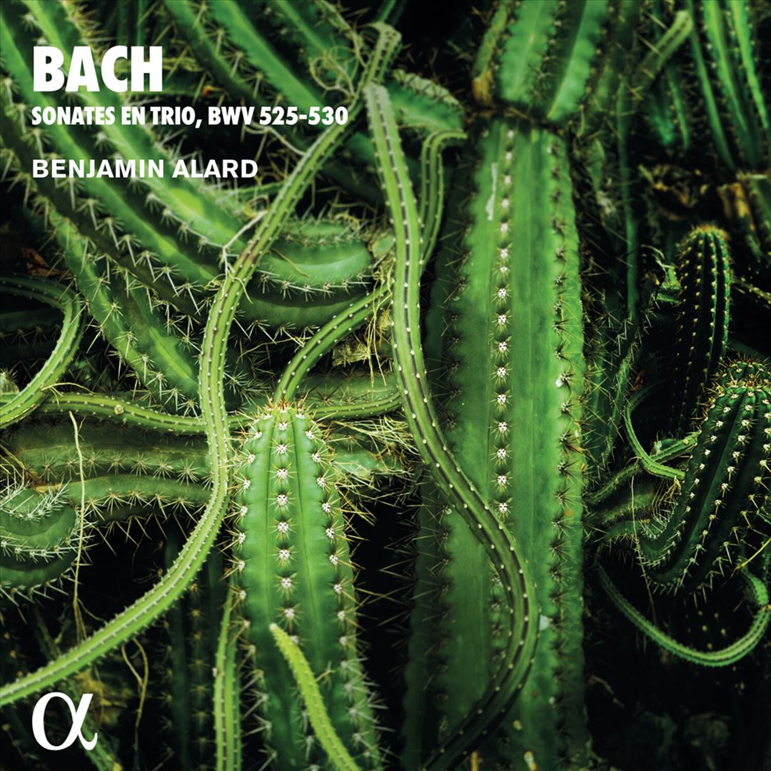 Bach: Sonates en Trio, BWV 525-530 cover art
