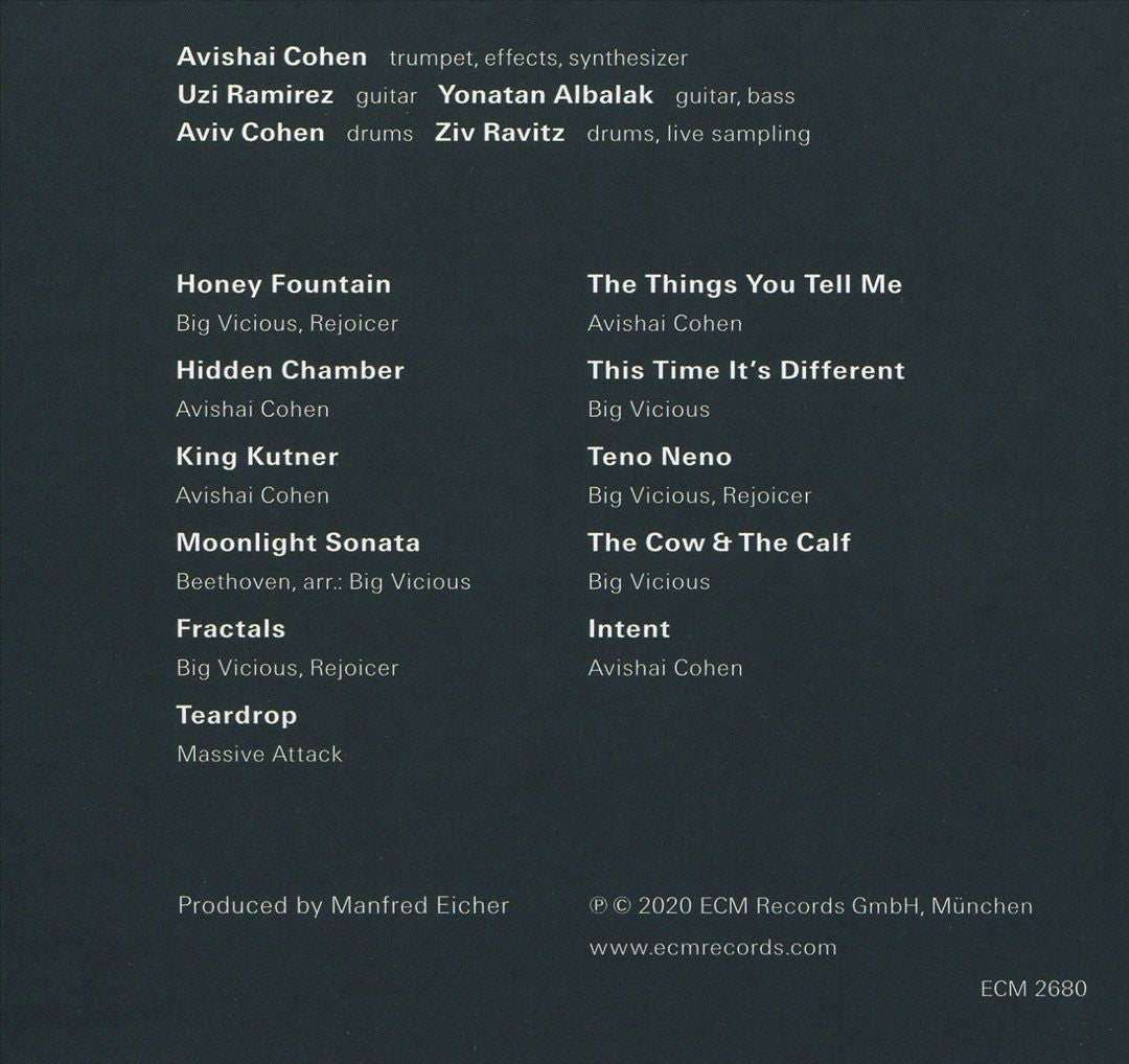 Big Vicious cover art