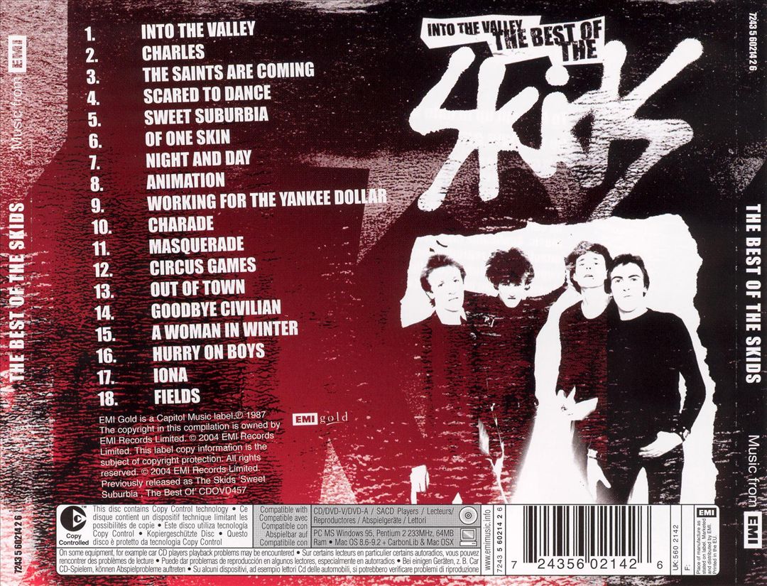 Into the Valley: The Best of the Skids cover art