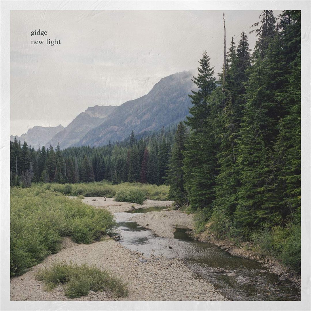 New Light cover art