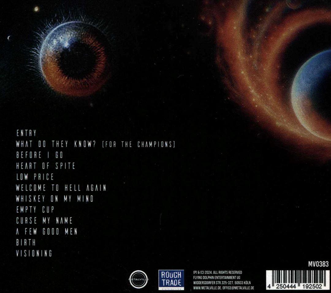 Visioning cover art