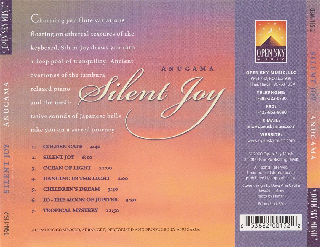 Silent Joy cover art