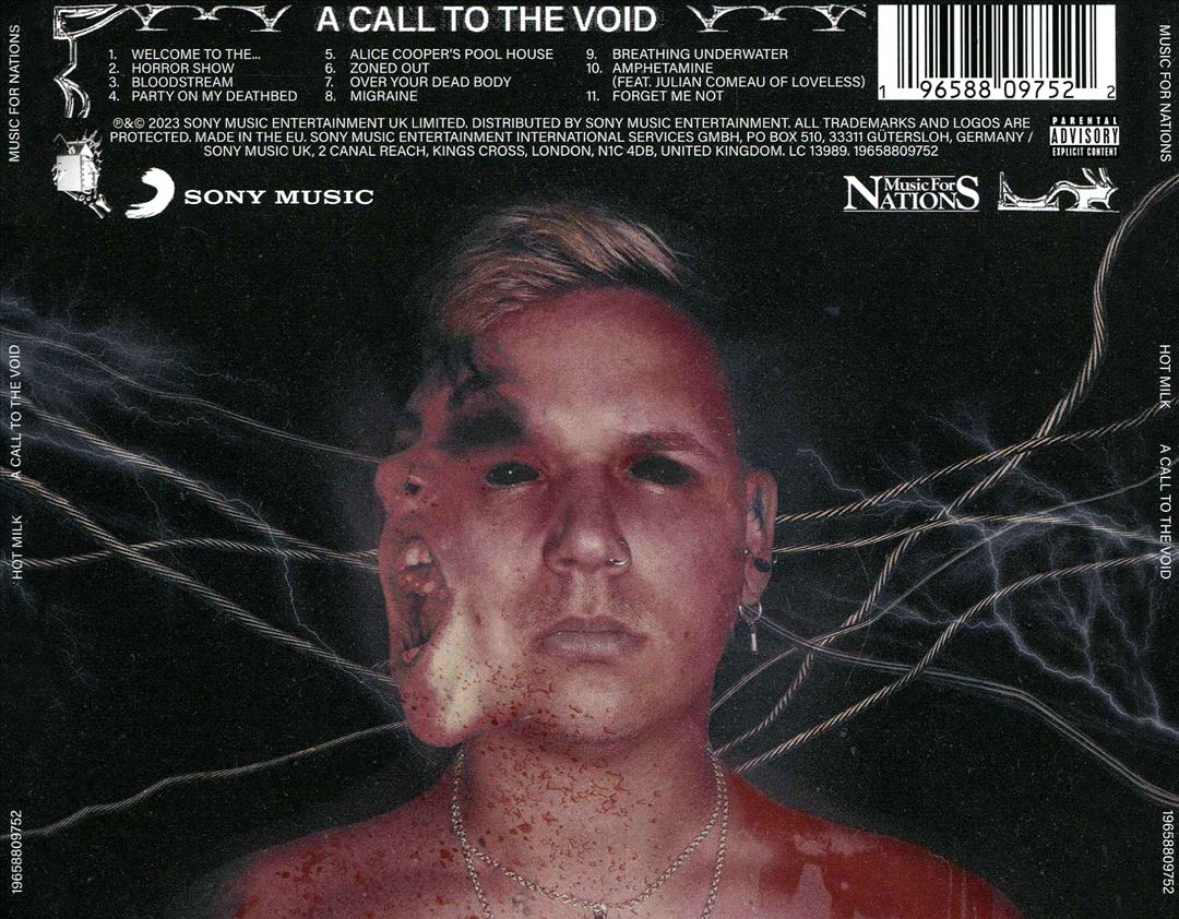 A Call to the Void cover art