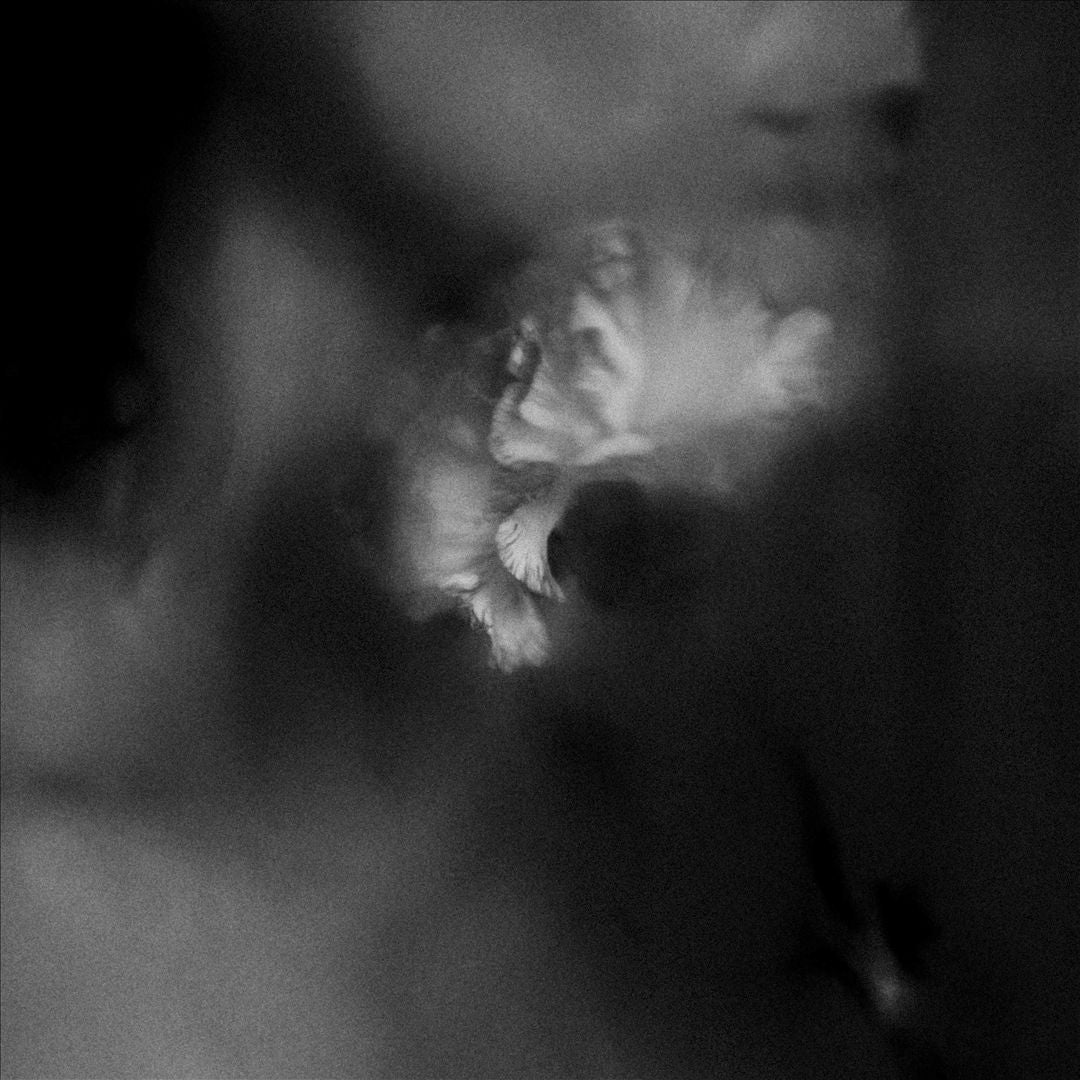 Holding Absence cover art