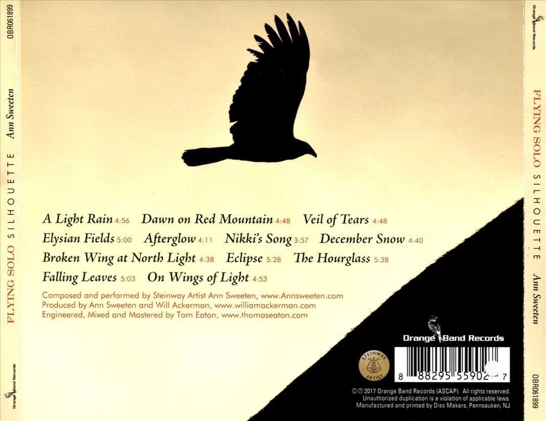 Flying Solo Silhouette cover art