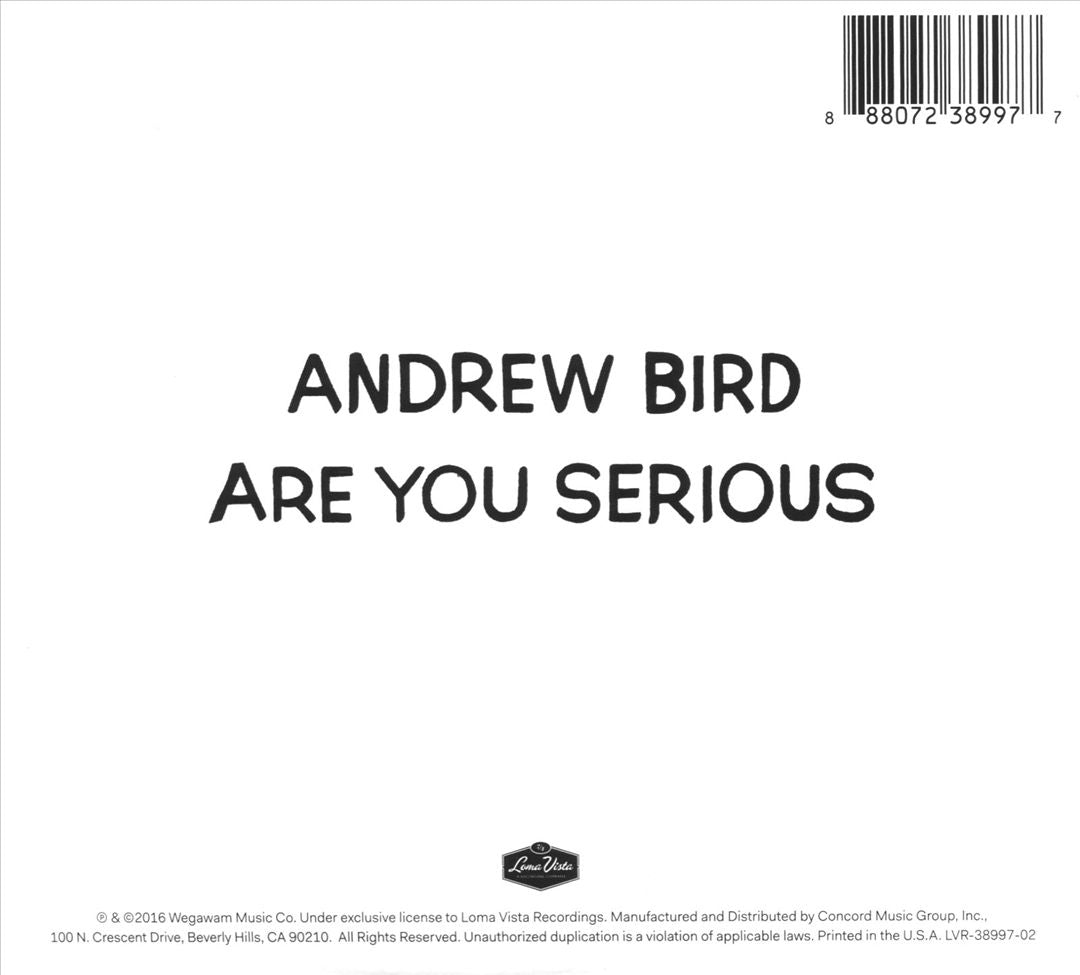 Are You Serious cover art