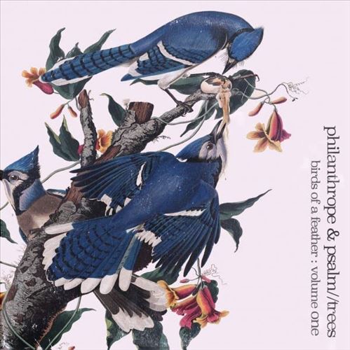 Birds of a Feather, Vol. 1 cover art
