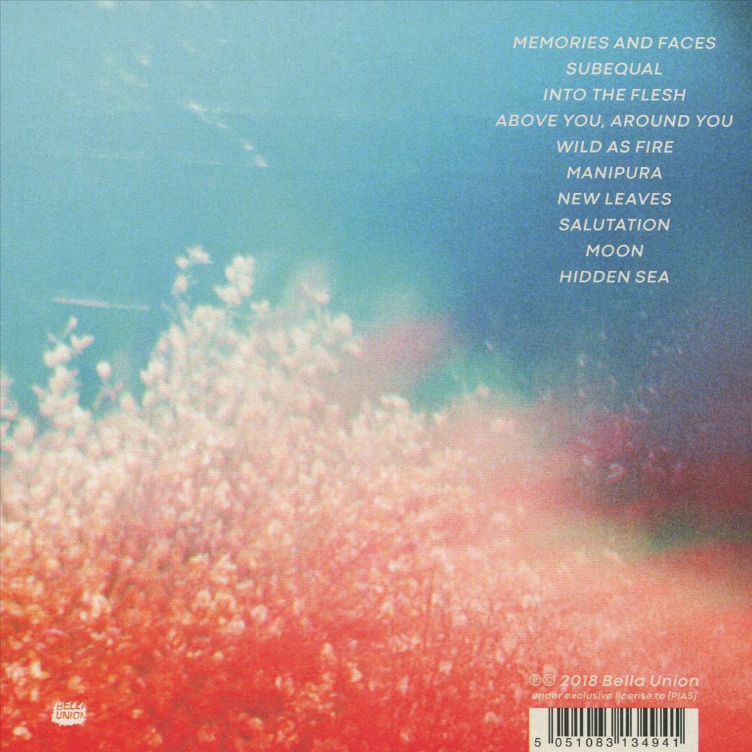 My Name Is Safe in Your Mouth cover art