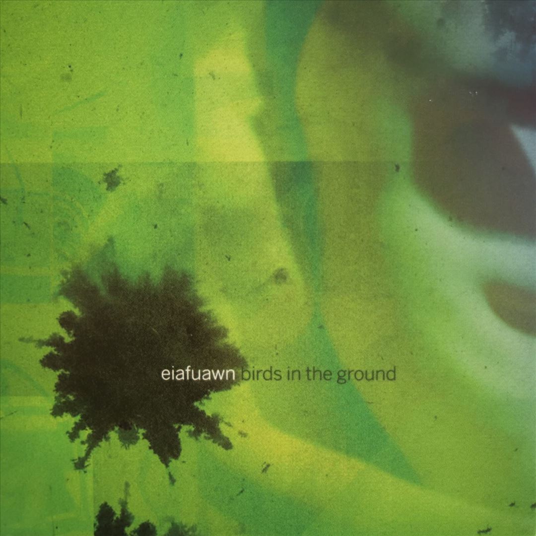 Birds in the Ground cover art
