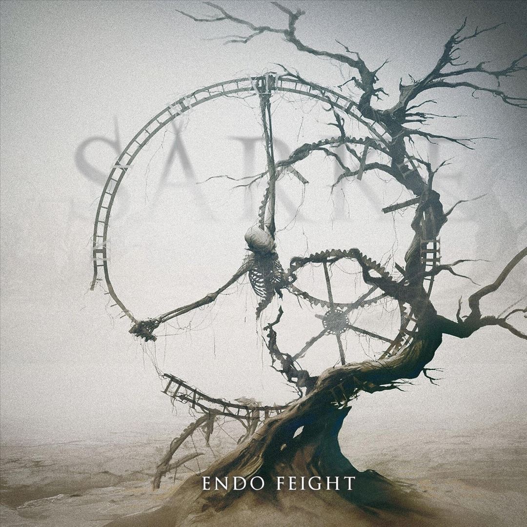 Endo Feight cover art