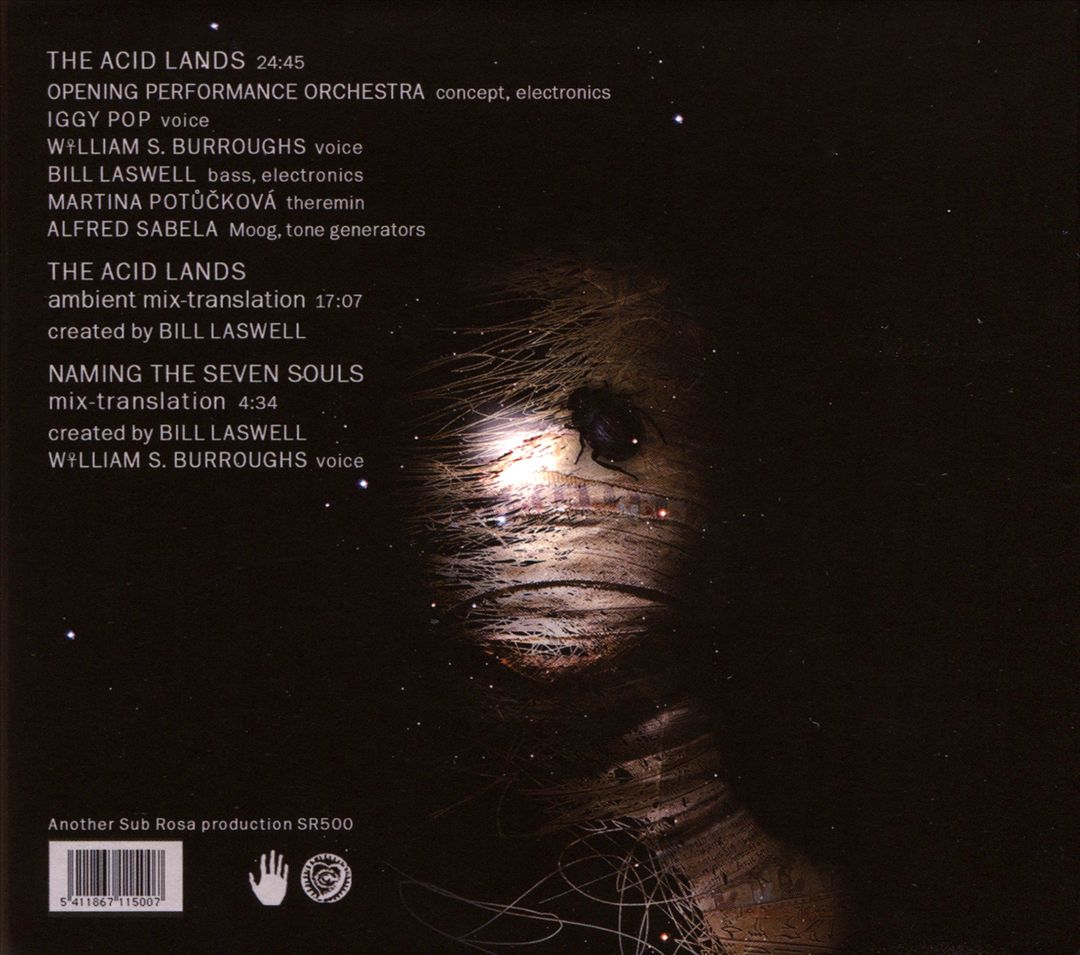 Acid Lands cover art