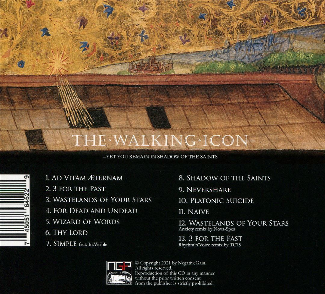Shadow of the Saints cover art