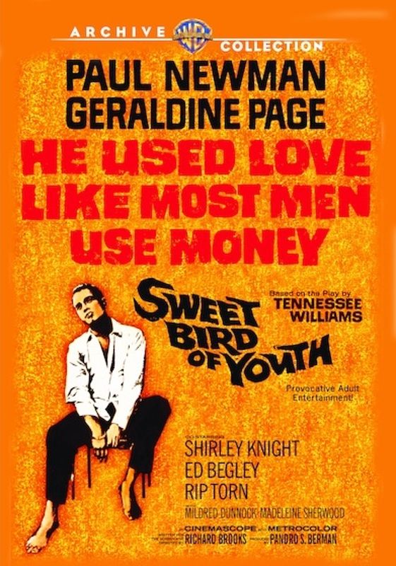 Sweet Bird of Youth cover art