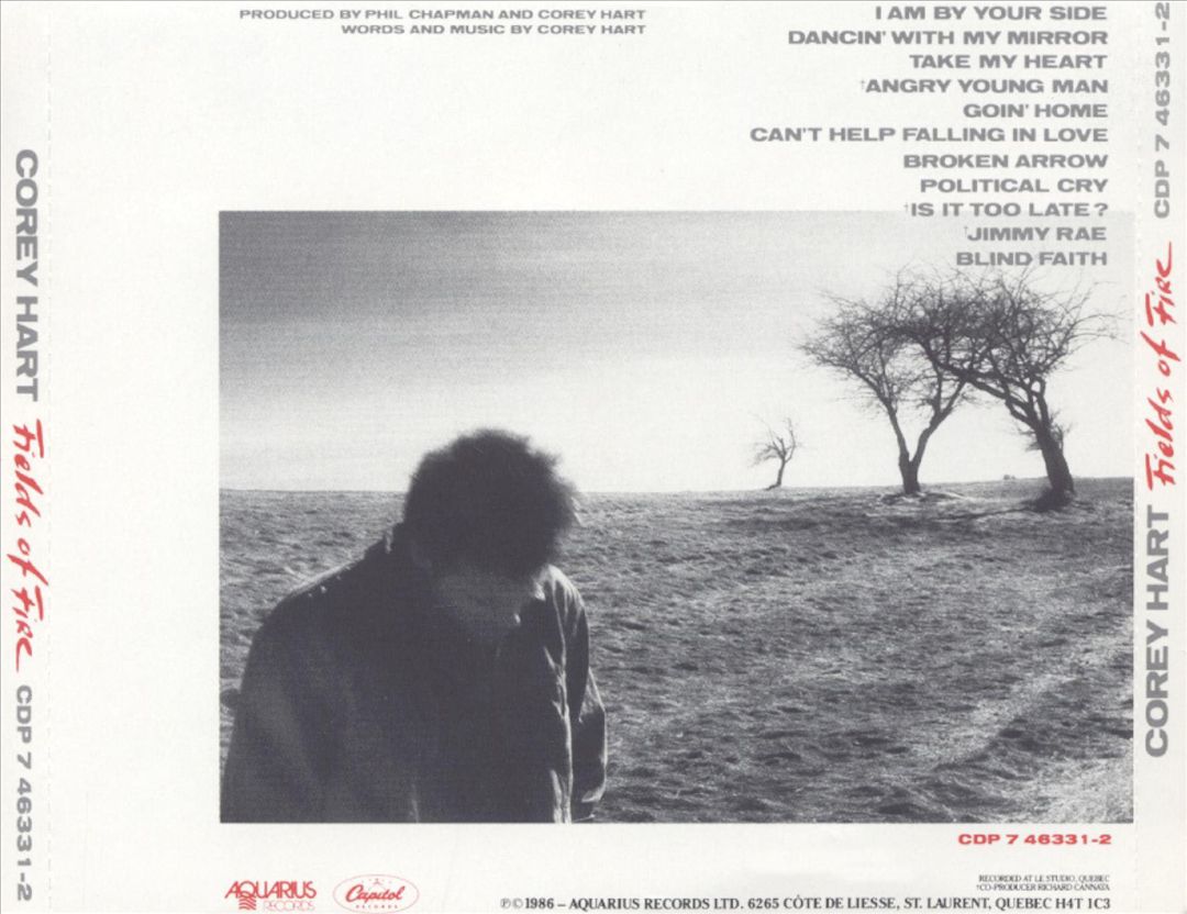 Fields of Fire cover art