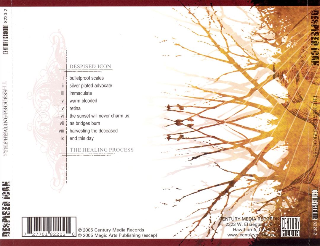 Healing Process cover art