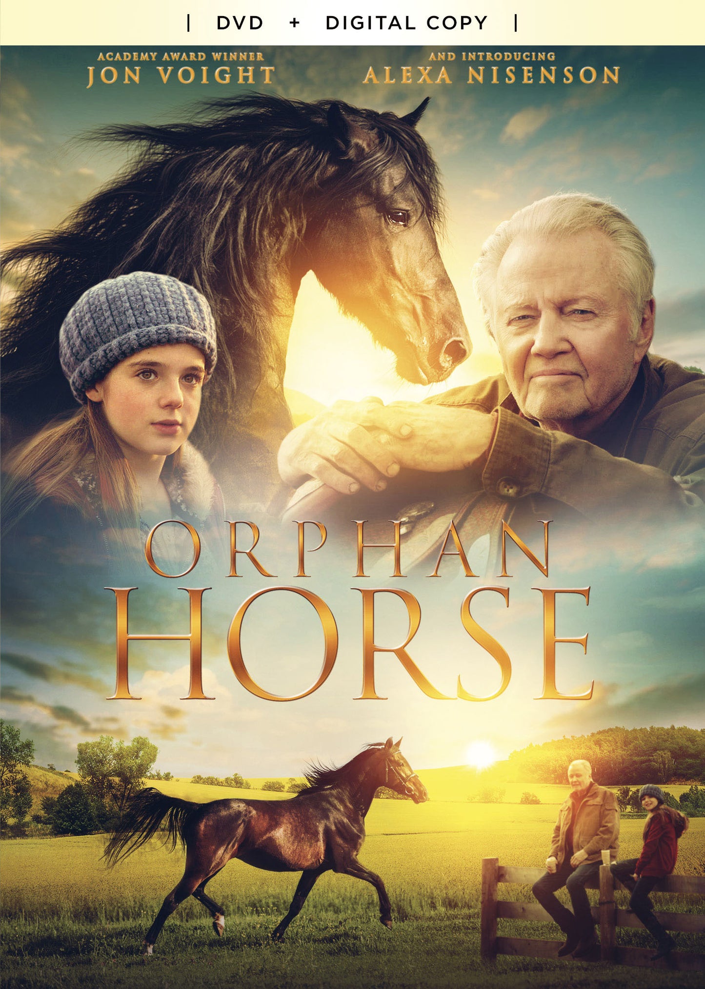 Orphan Horse cover art
