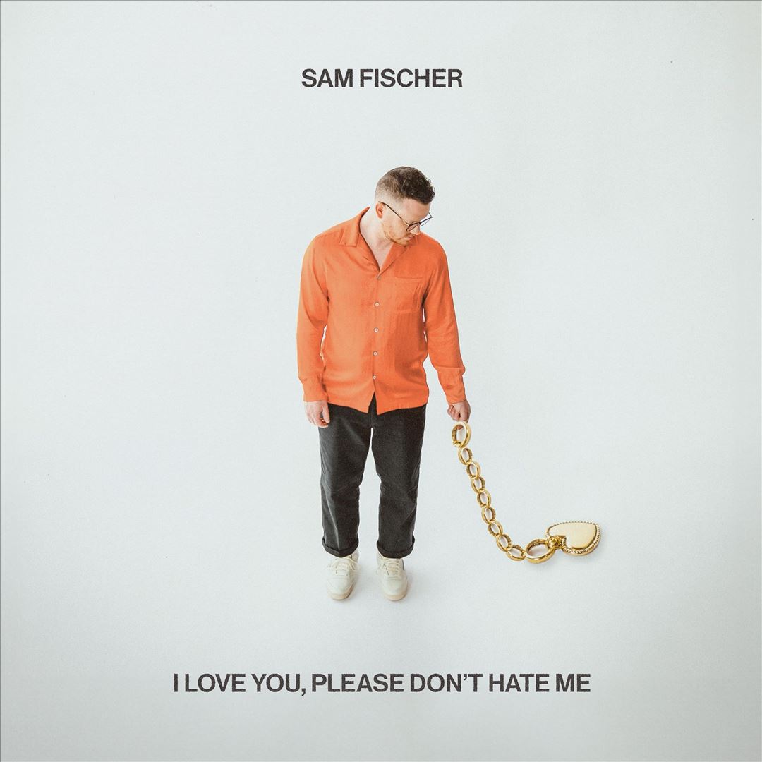 I Love You, Please Don't Hate Me cover art