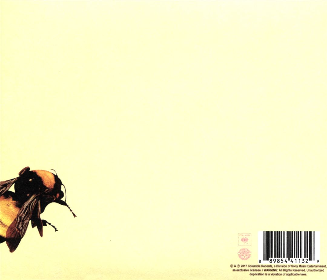 Flower Boy cover art