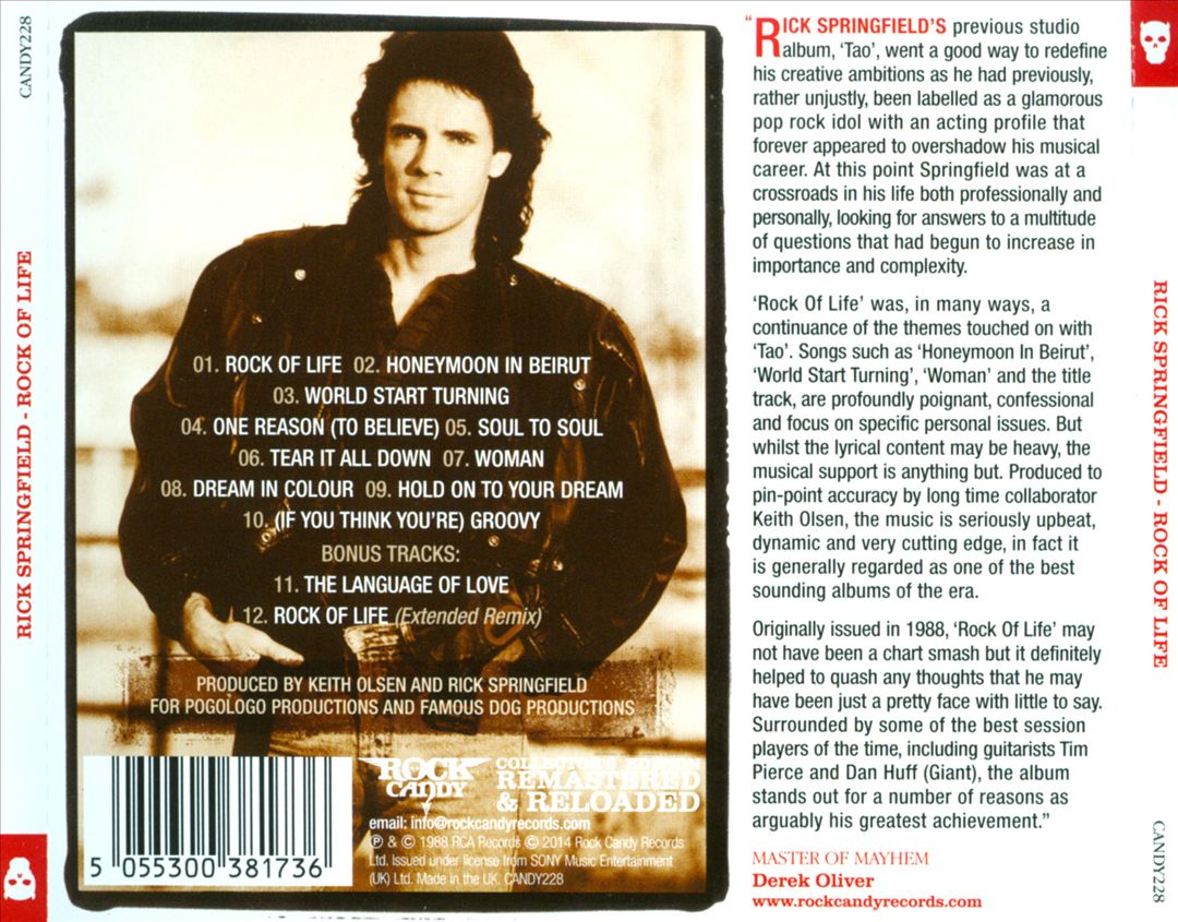 Rock of Life cover art