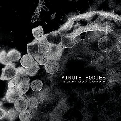 Minute Bodies: The Intimate World of F. Percy Smith cover art