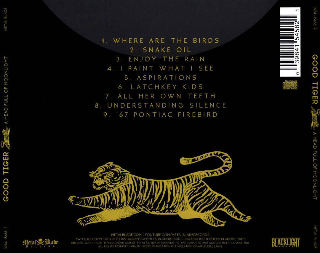 Head Full of Moonlight cover art