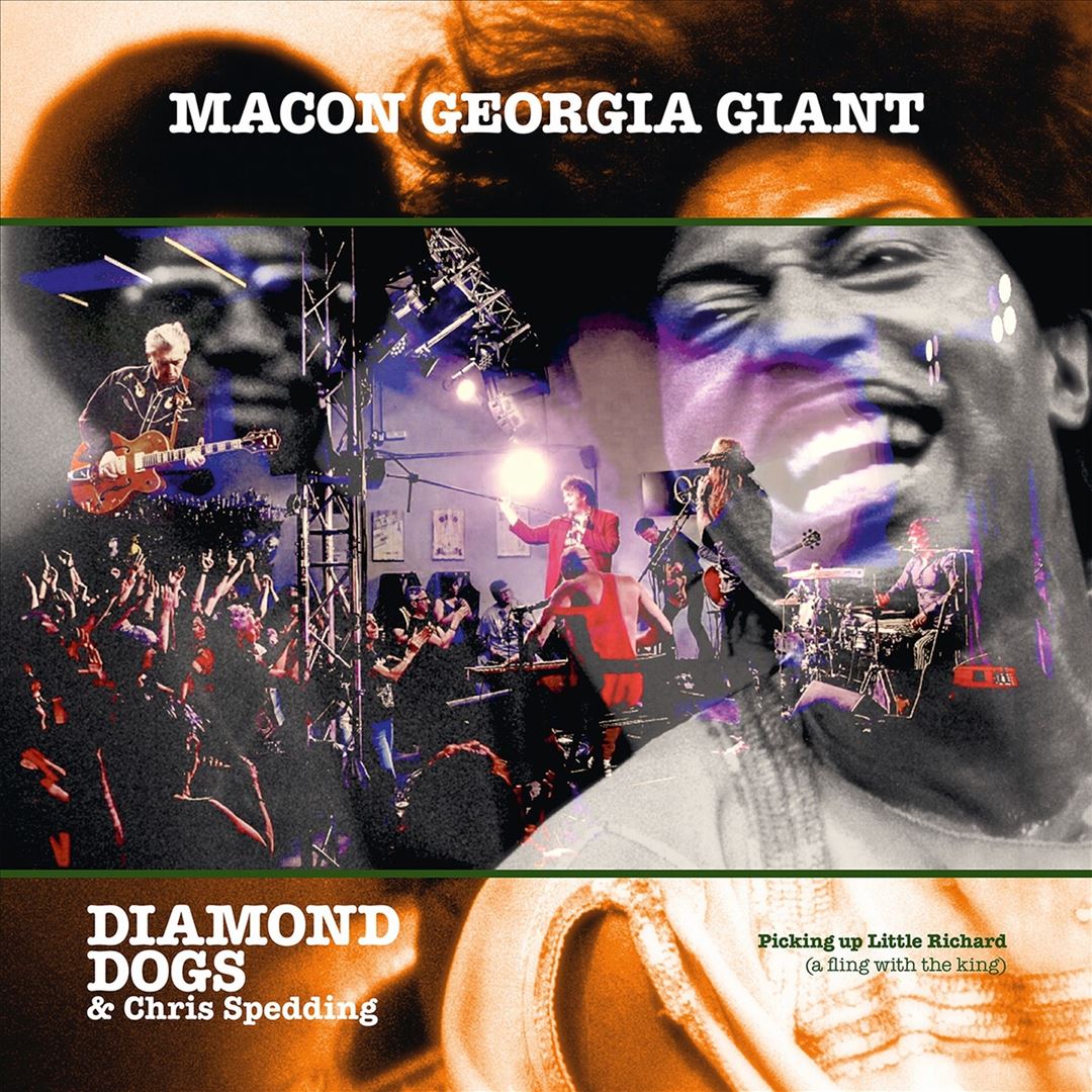Macon Georgia Giants cover art