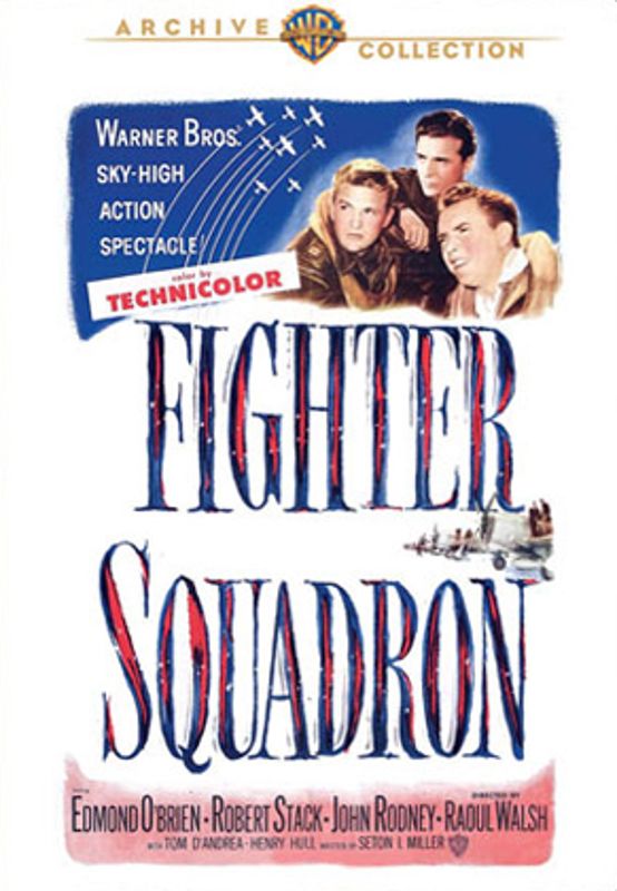 Fighter Squadron cover art