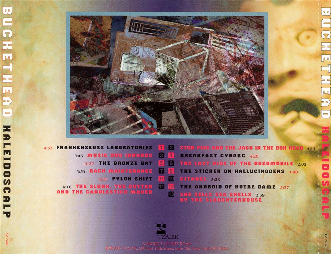Kaleidoscalp cover art