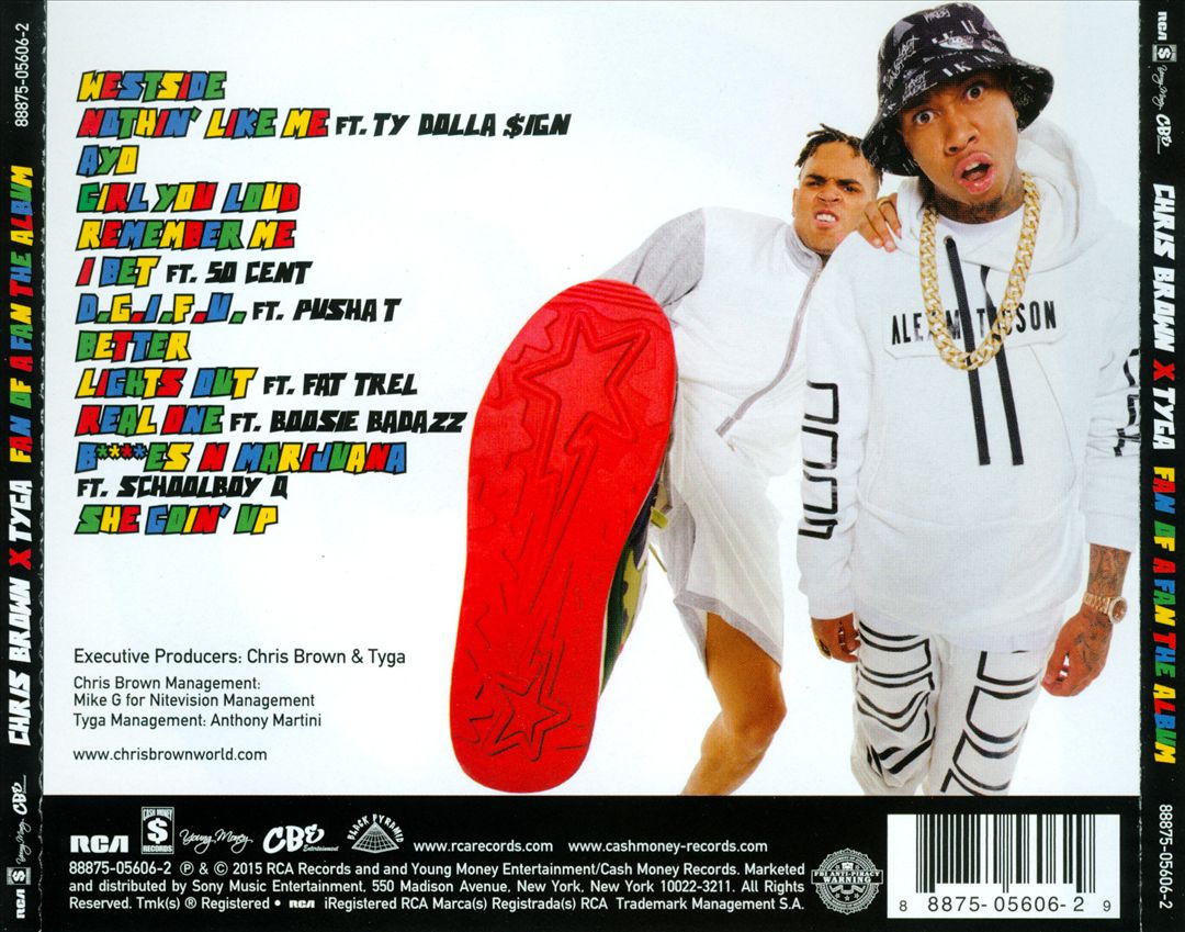 Fan of a Fan: The Album cover art