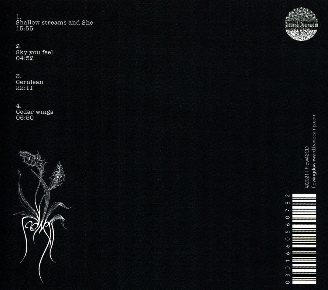 Alluring the Distant Eye cover art