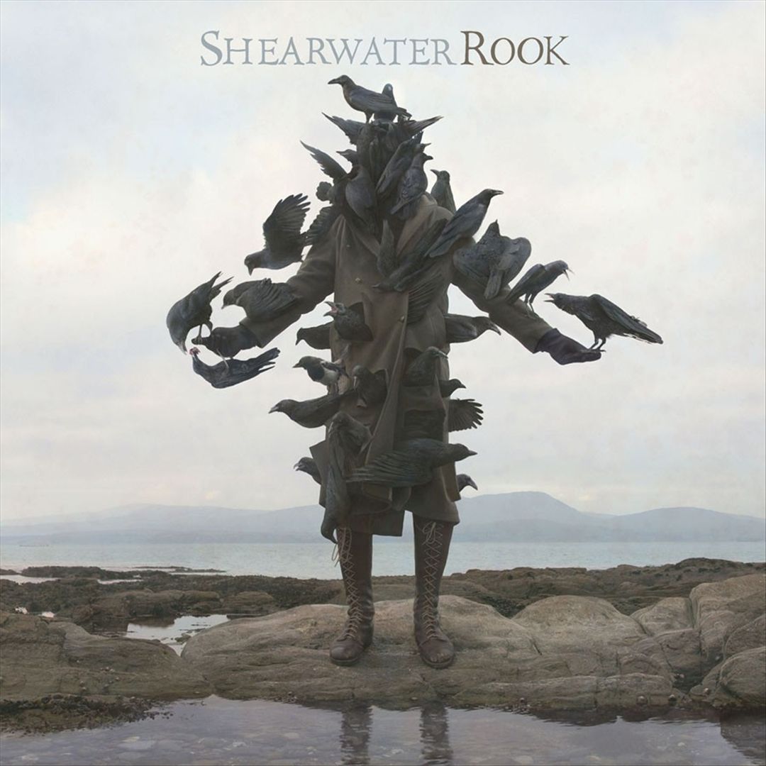 Rook cover art