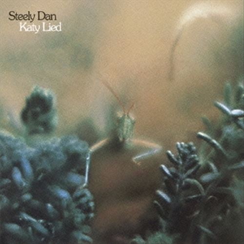 Katy Lied cover art