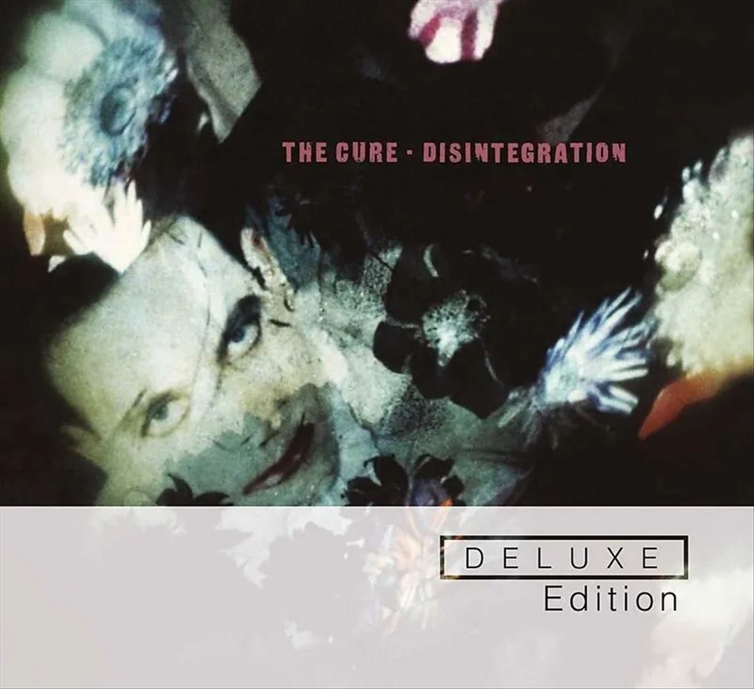 Disintegration cover art