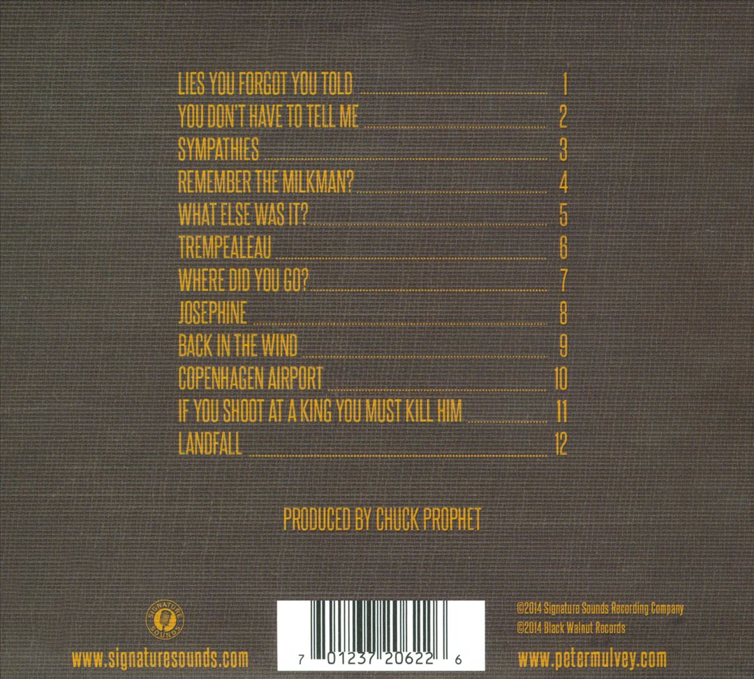 Silver Ladder cover art
