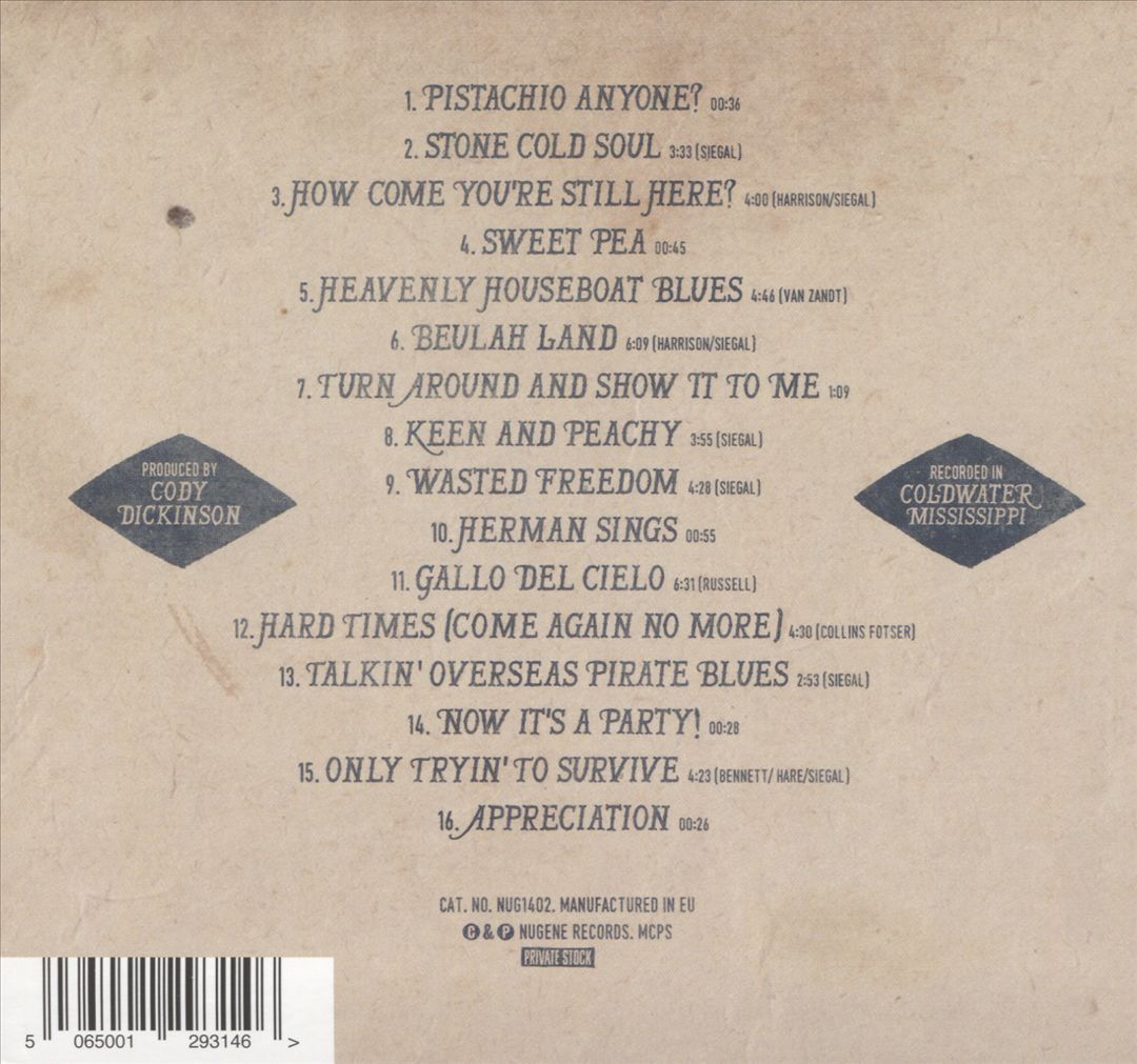 Picnic Sessions cover art