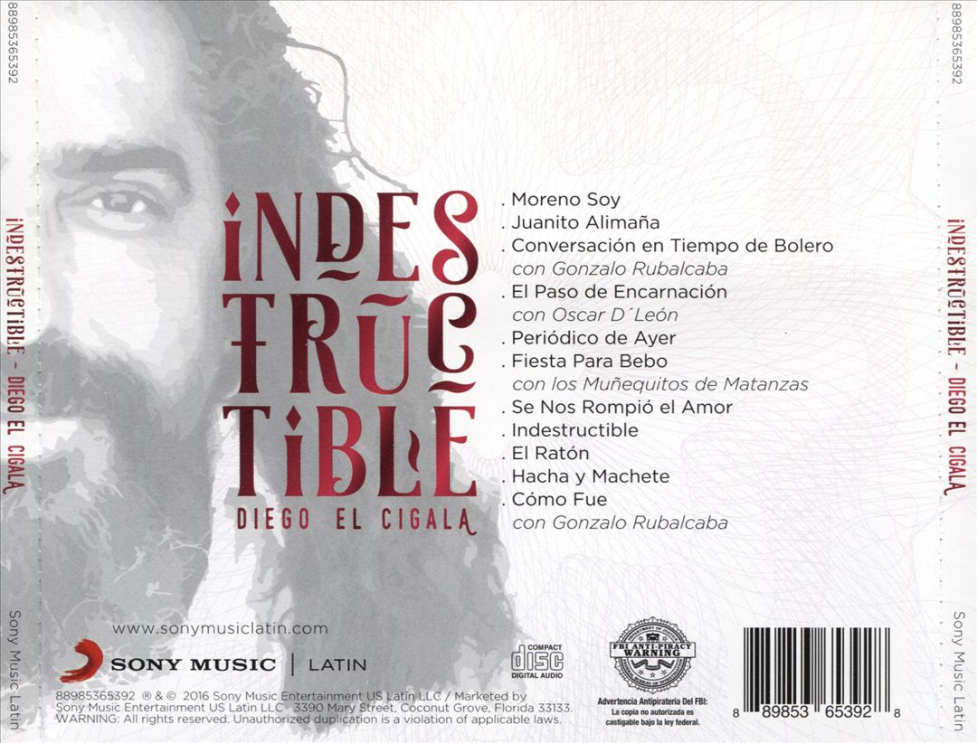 Indestructible cover art