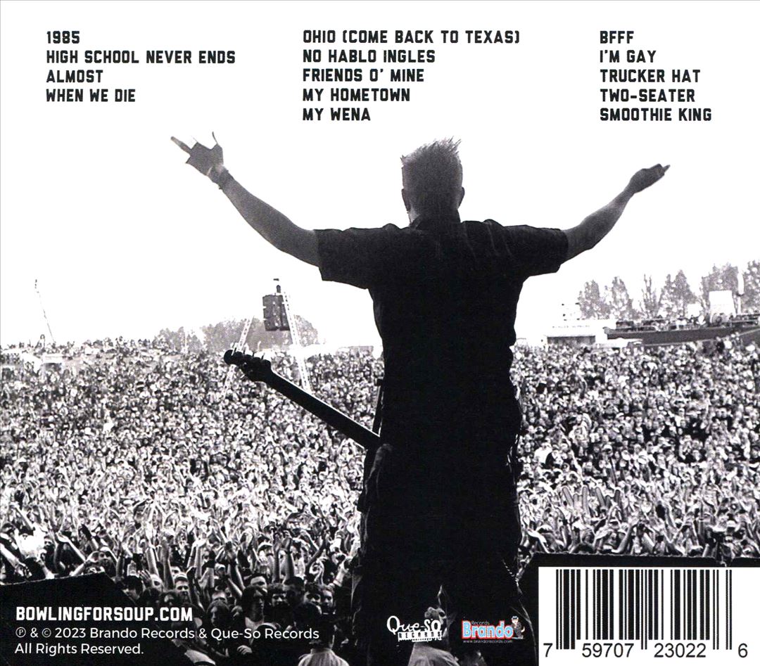 Songs People Actually Liked - Volume 2 - The Next 6 Years (2004-2009) cover art