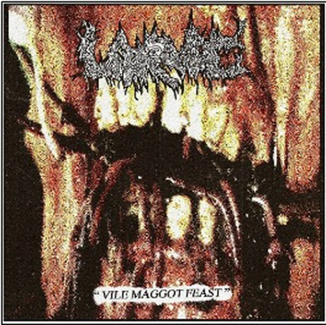 Vile Maggot Feast cover art