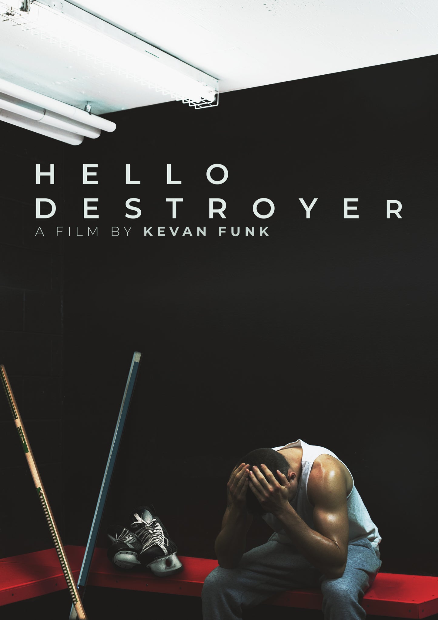 Hello Destroyer cover art